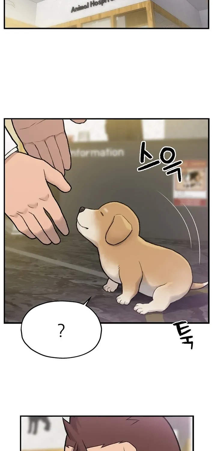 The Rainbow Bridge Guardian Chapter 1 page 31 - 