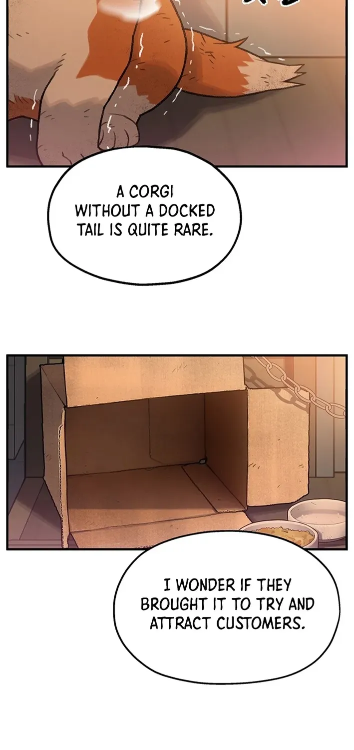 The Rainbow Bridge Guardian Chapter 1 page 49 - 