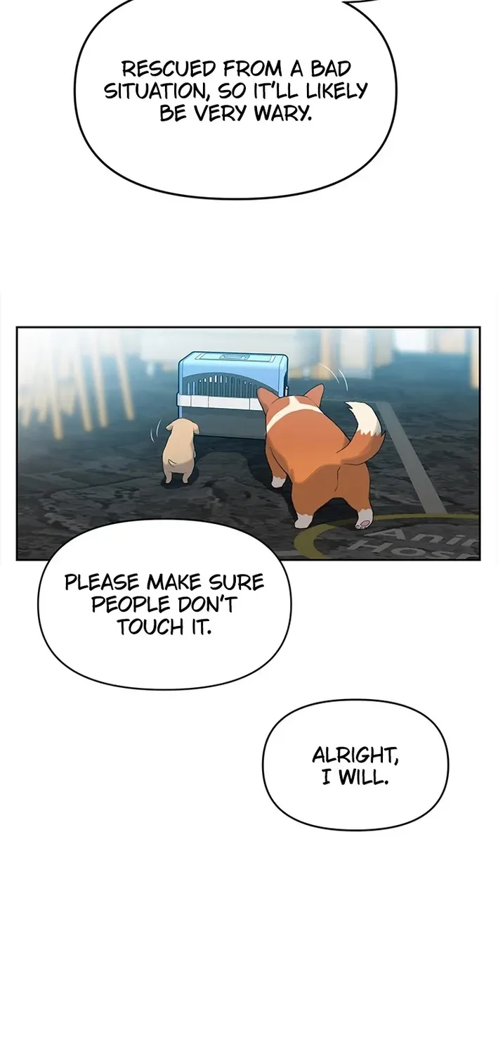 The Rainbow Bridge Guardian Chapter 10 page 25 - 
