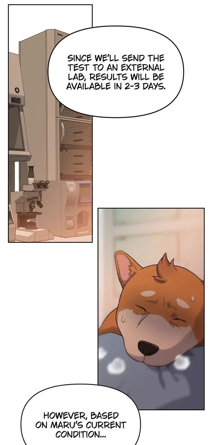 The Rainbow Bridge Guardian Chapter 10 page 56 - 