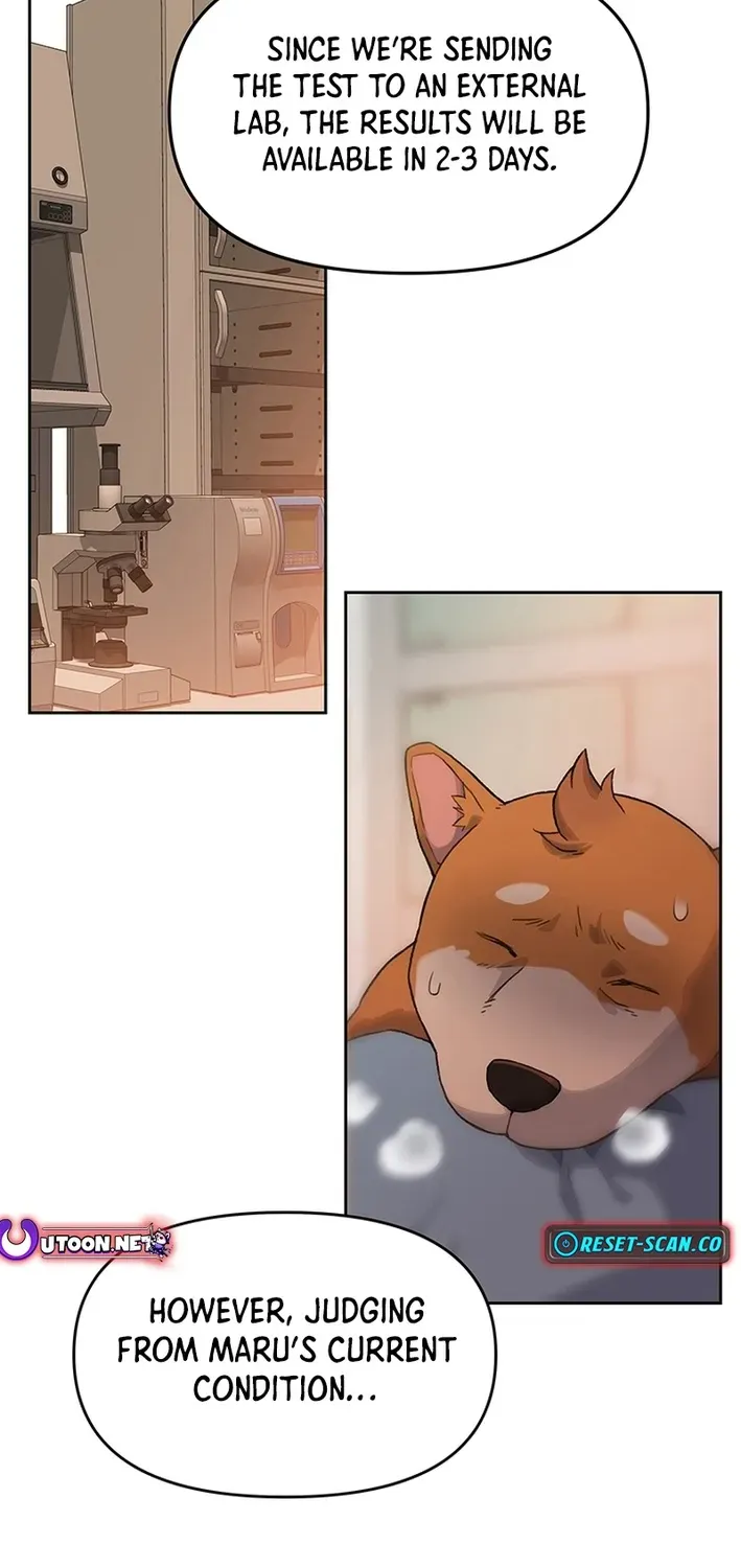 The Rainbow Bridge Guardian Chapter 11 page 2 - 