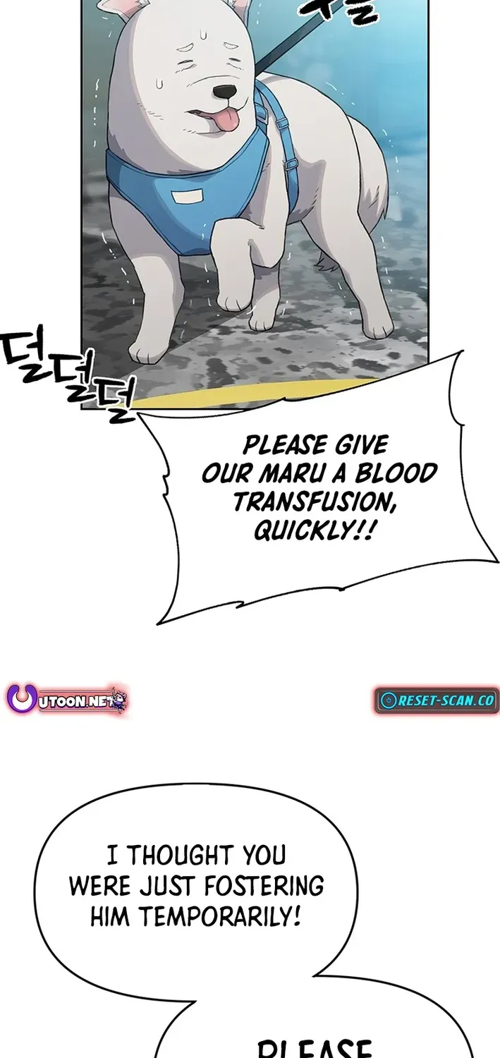 The Rainbow Bridge Guardian Chapter 12 page 55 - 