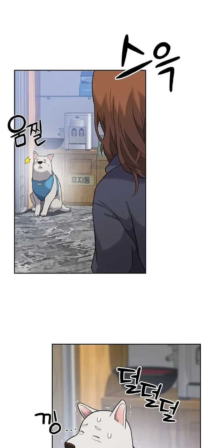 The Rainbow Bridge Guardian Chapter 13 page 37 - 