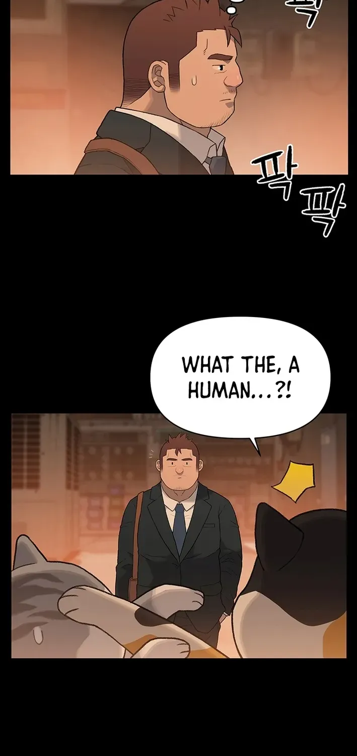 The Rainbow Bridge Guardian Chapter 14 page 11 - 