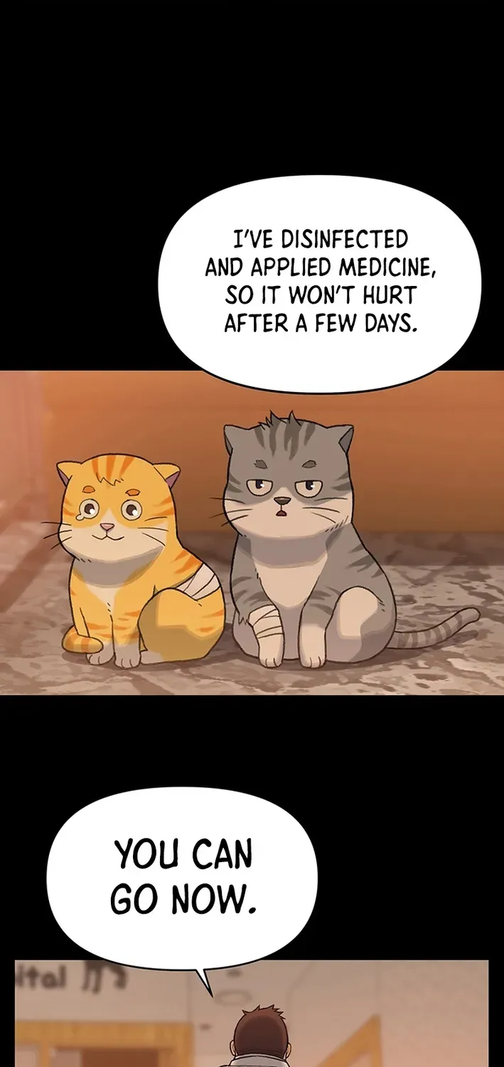 The Rainbow Bridge Guardian Chapter 14 page 15 - 