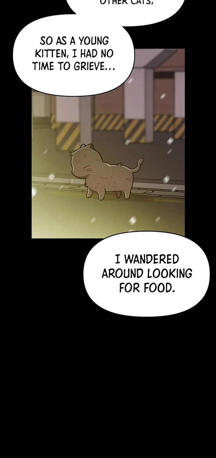 The Rainbow Bridge Guardian Chapter 14 page 33 - 
