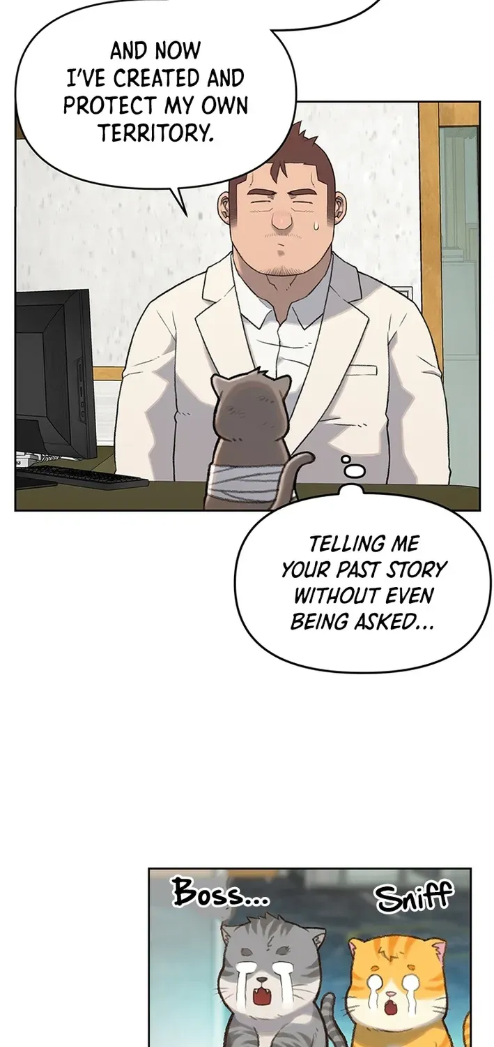 The Rainbow Bridge Guardian Chapter 14 page 45 - 