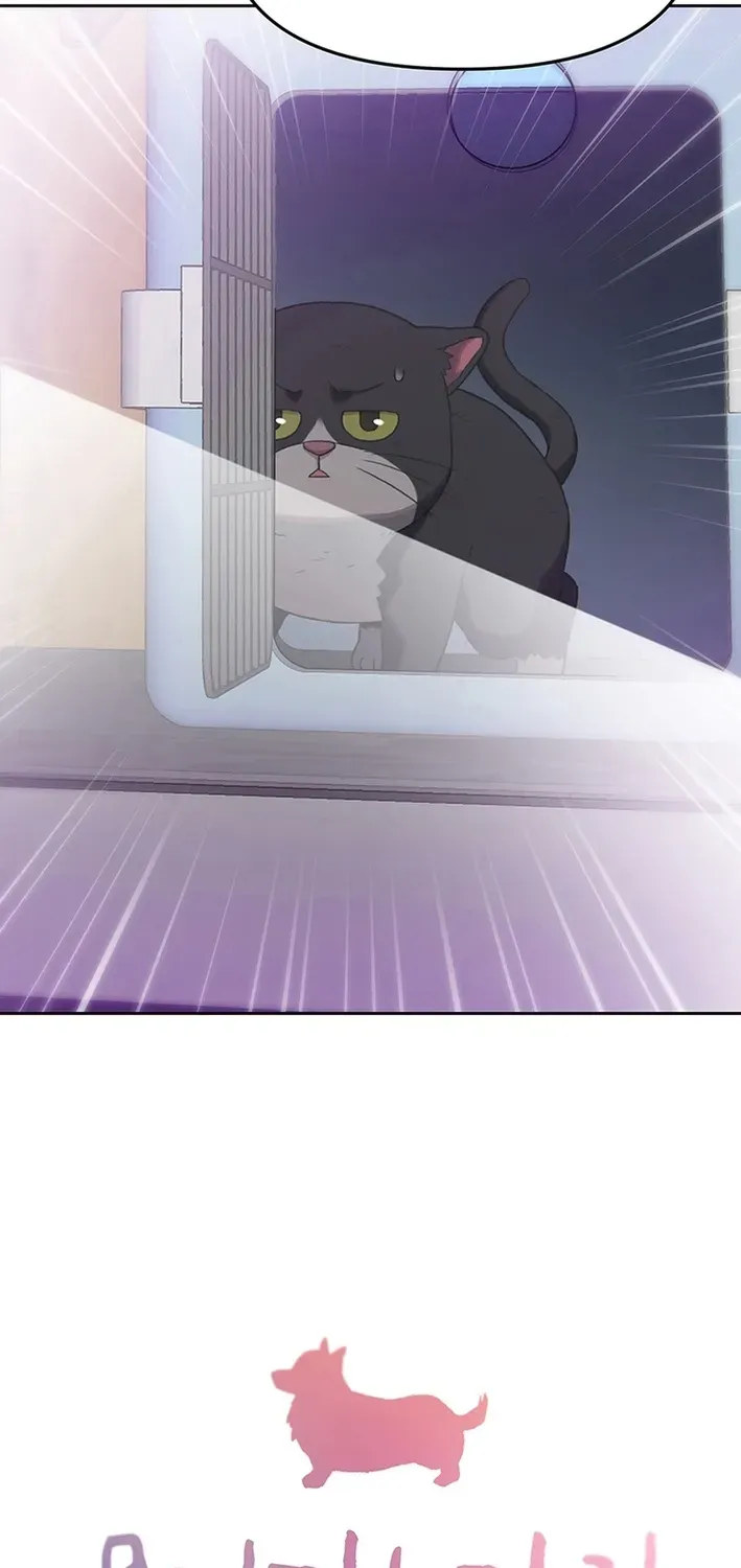 The Rainbow Bridge Guardian Chapter 15 page 3 - 
