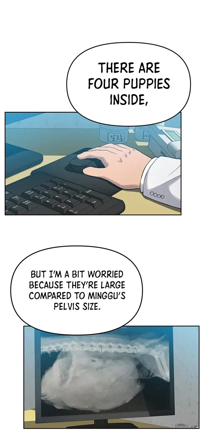 The Rainbow Bridge Guardian Chapter 15 page 37 - 