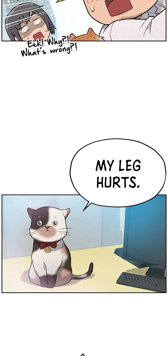The Rainbow Bridge Guardian Chapter 2 page 31 - 