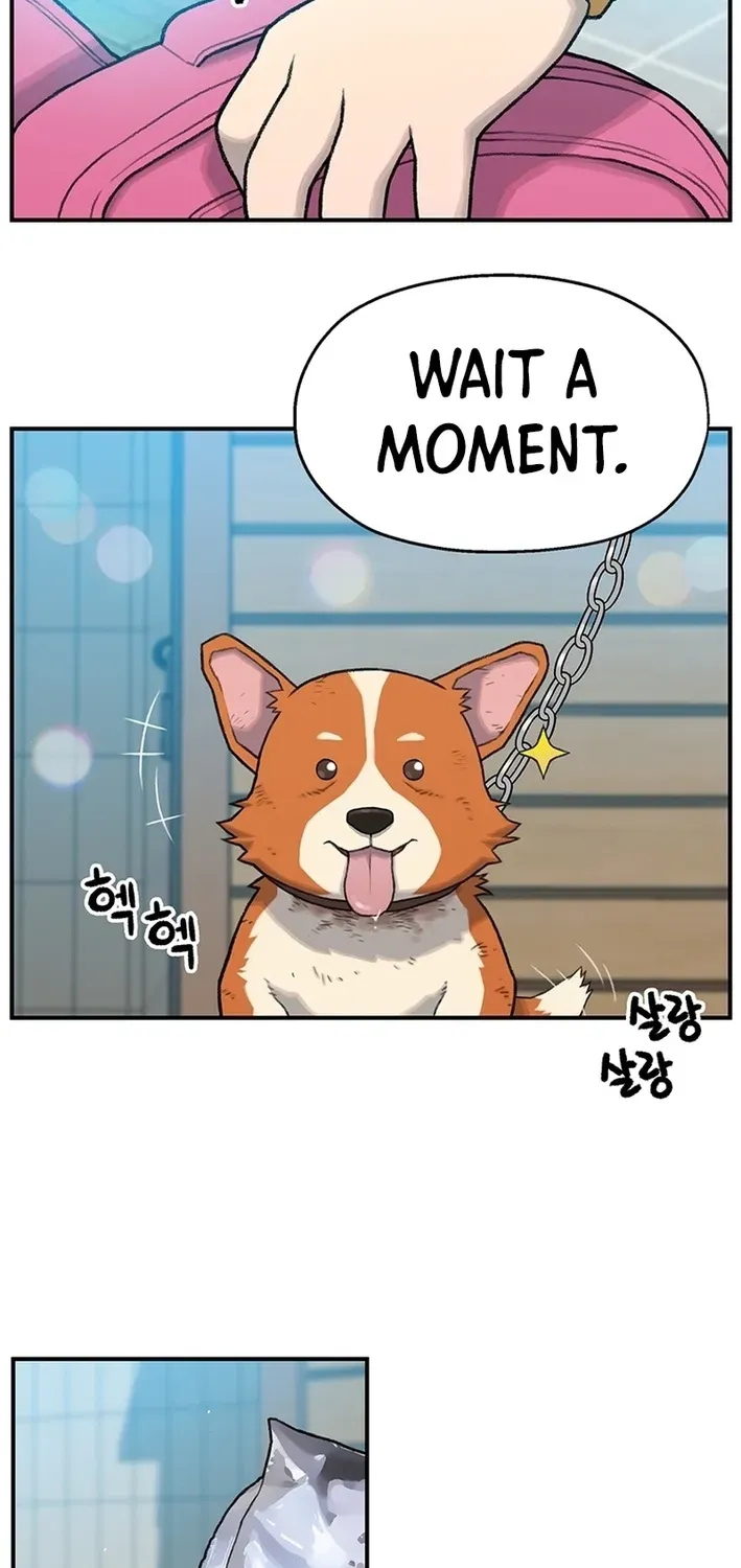 The Rainbow Bridge Guardian Chapter 2 page 37 - 