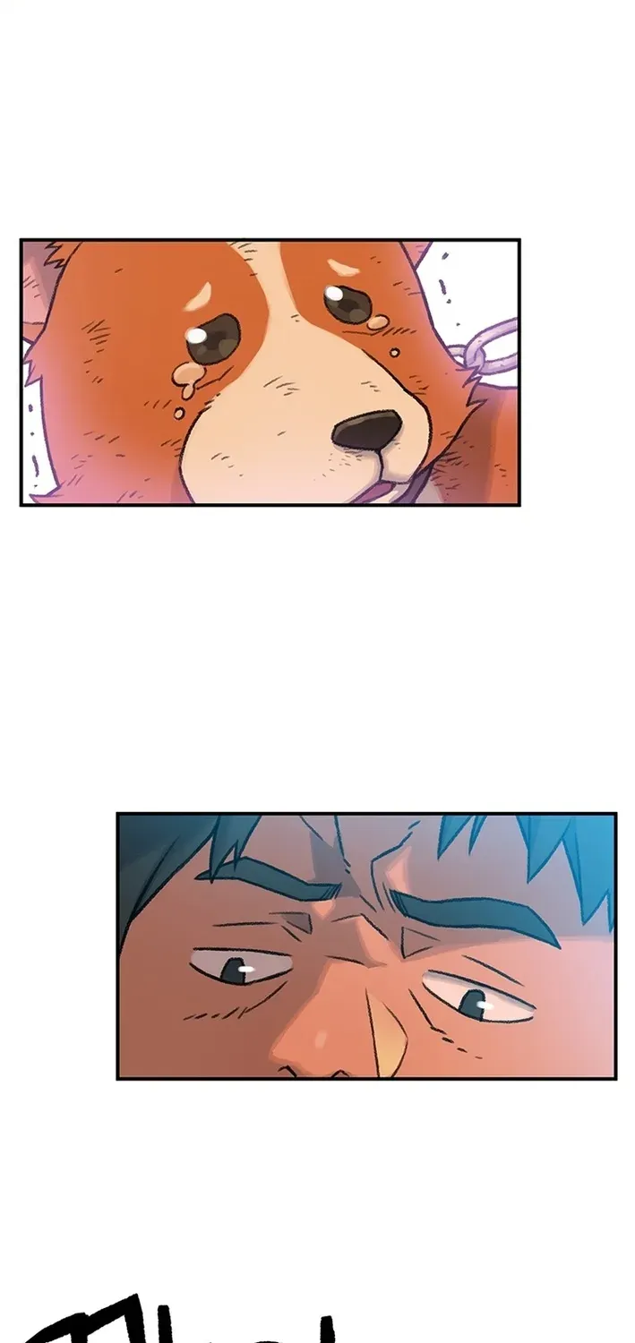 The Rainbow Bridge Guardian Chapter 3 page 33 - 