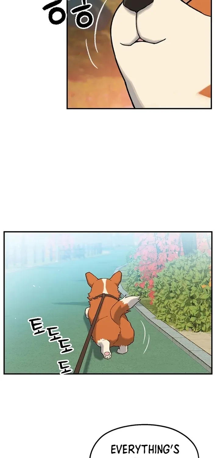 The Rainbow Bridge Guardian Chapter 3 page 63 - 
