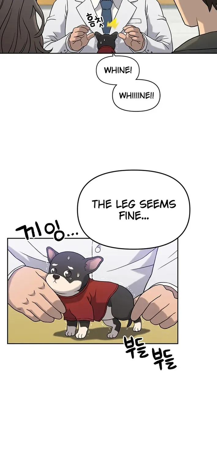 The Rainbow Bridge Guardian Chapter 7 page 14 - 