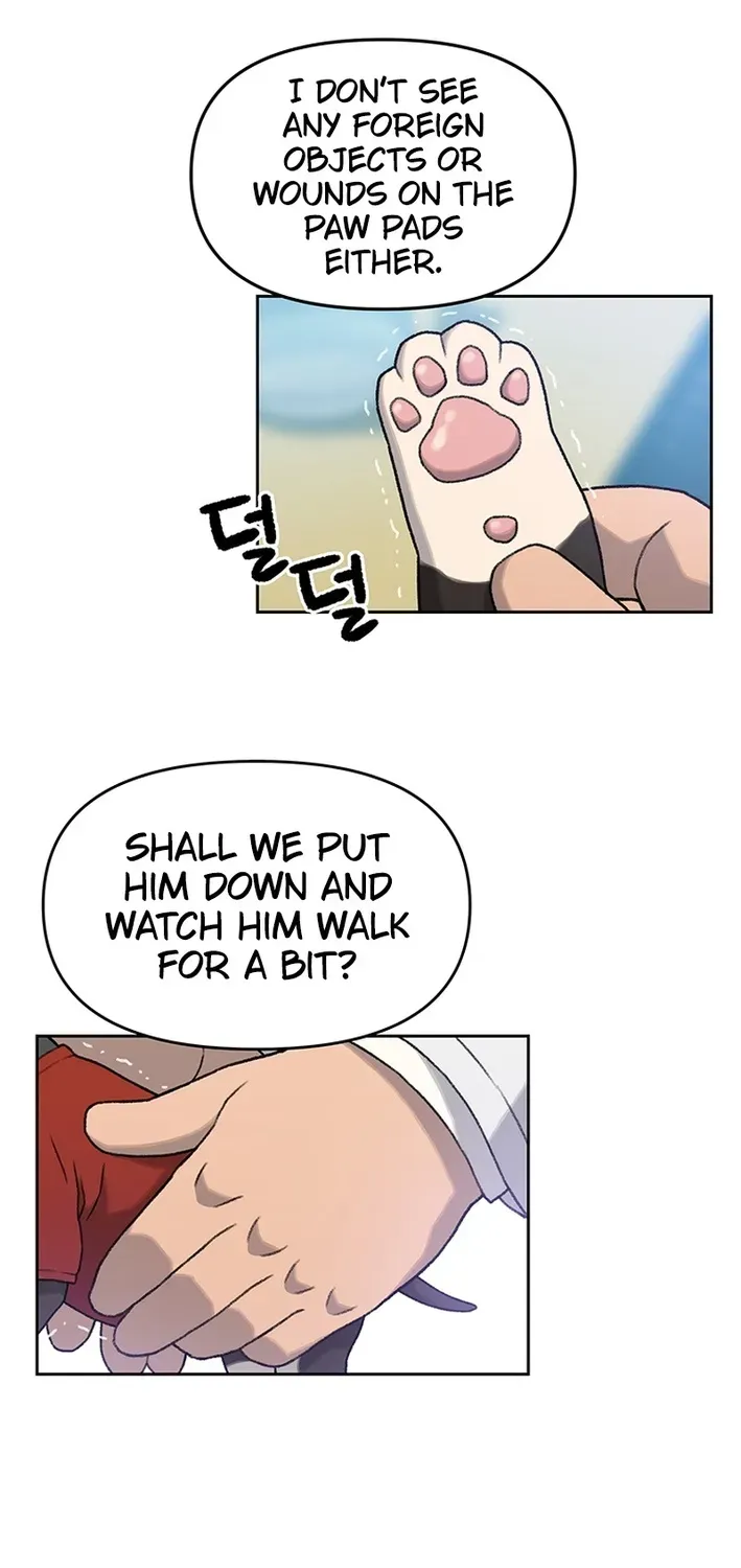 The Rainbow Bridge Guardian Chapter 7 page 15 - 