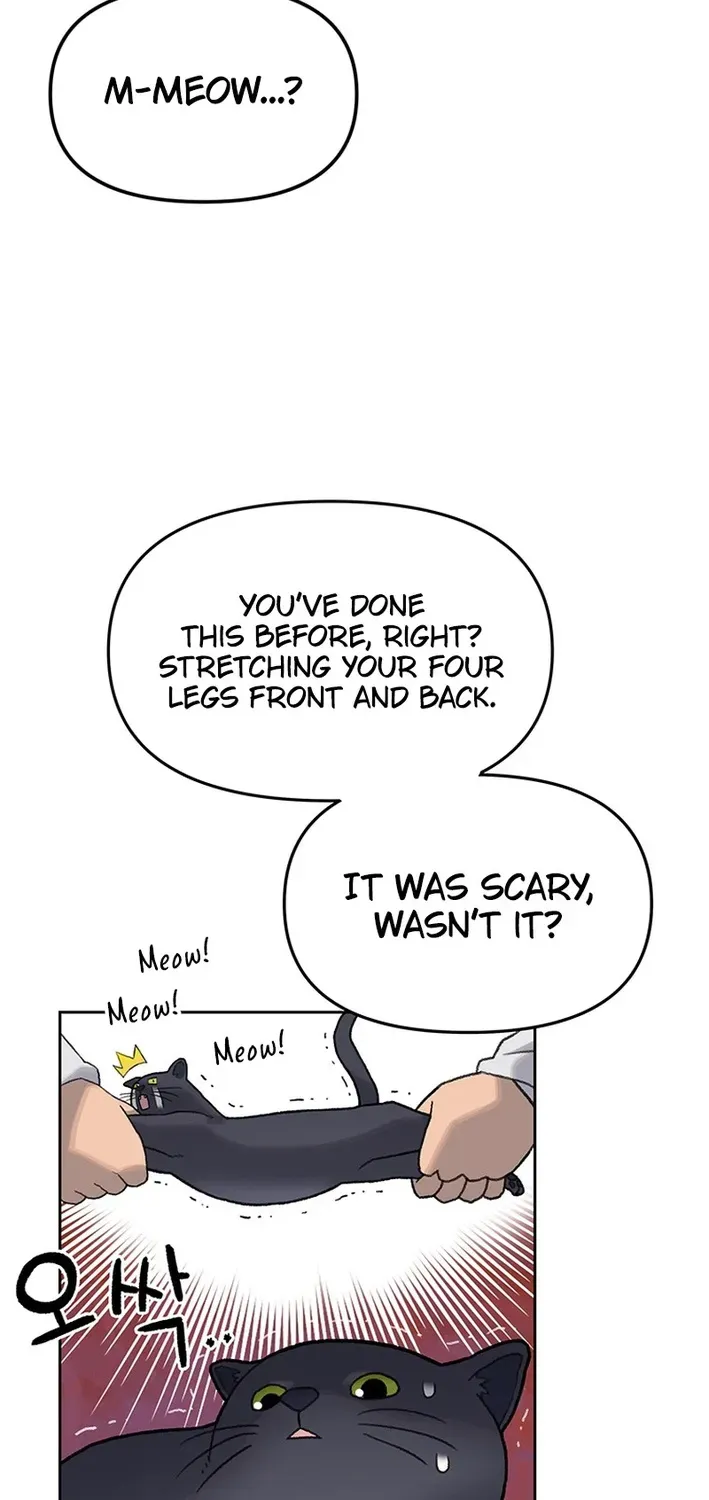 The Rainbow Bridge Guardian Chapter 8 page 23 - 