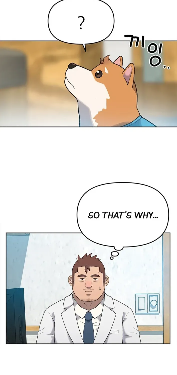 The Rainbow Bridge Guardian Chapter 8 page 33 - 