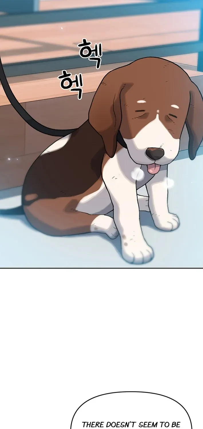 The Rainbow Bridge Guardian Chapter 8 page 41 - 