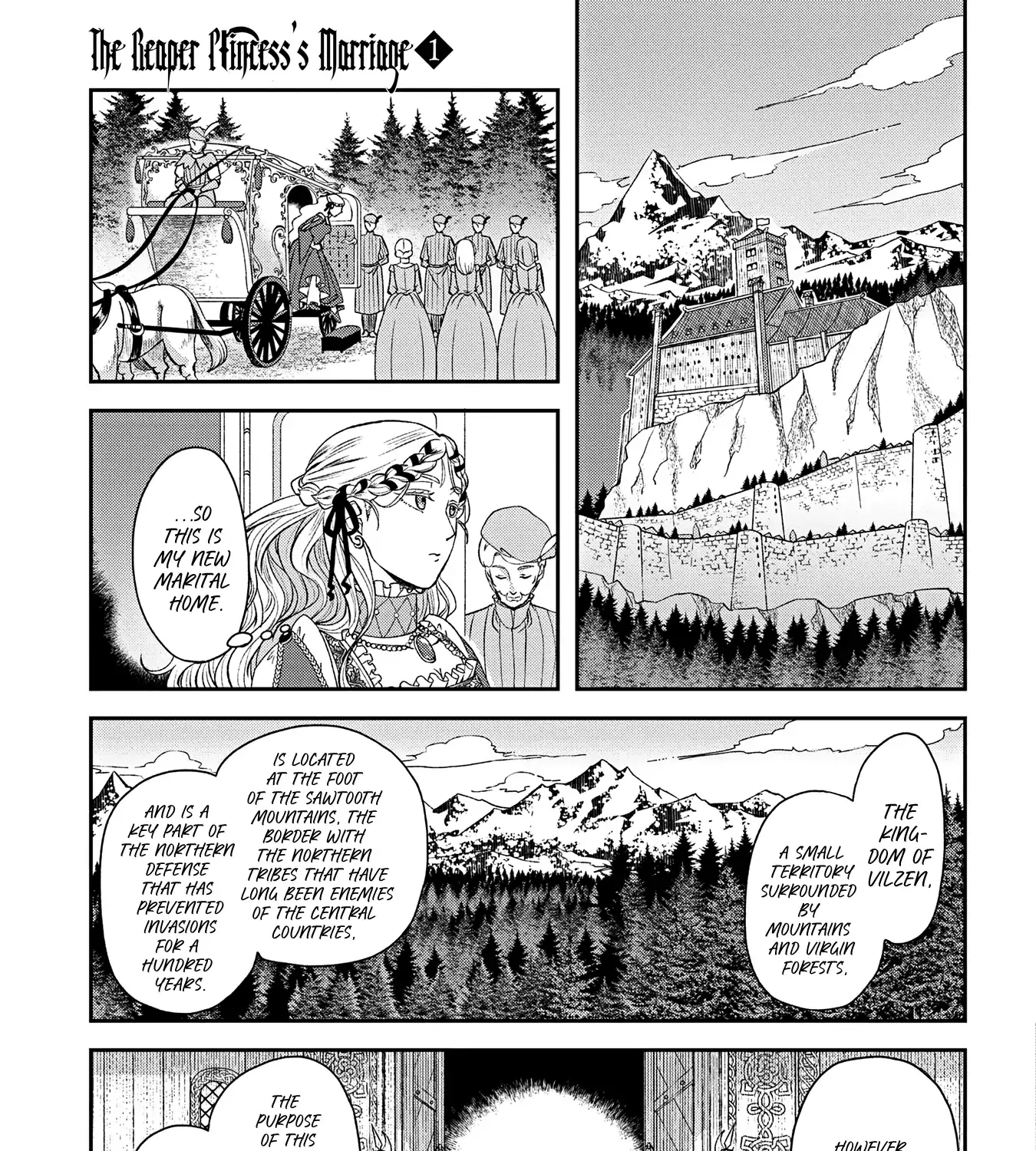 The Reaper Princess's Marriage Chapter 1 page 10 - 