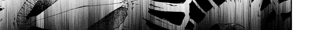 The Record of a Fallen Vampire Chapter 42 page 14 - 