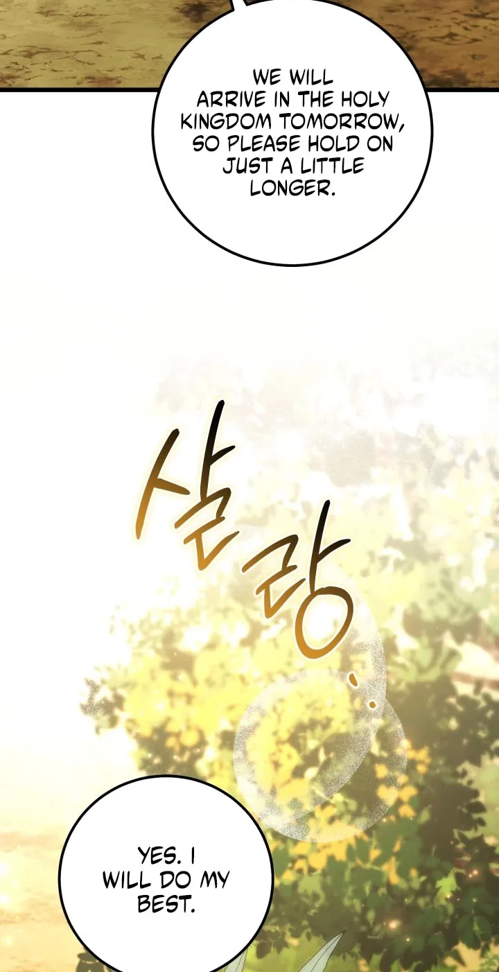  Chapter 12 page 55 - 