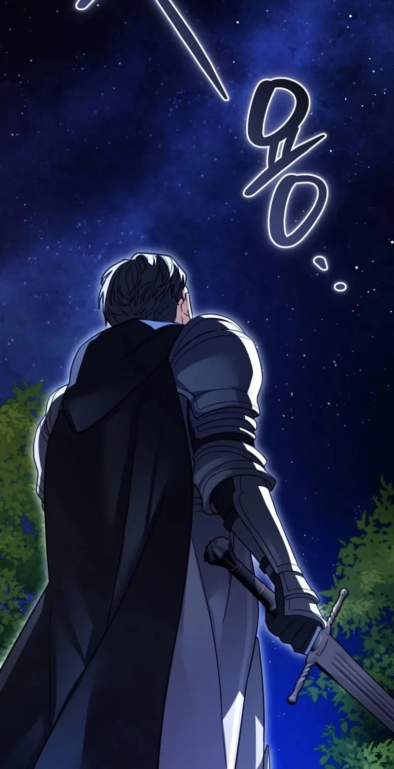  Chapter 13 page 116 - 