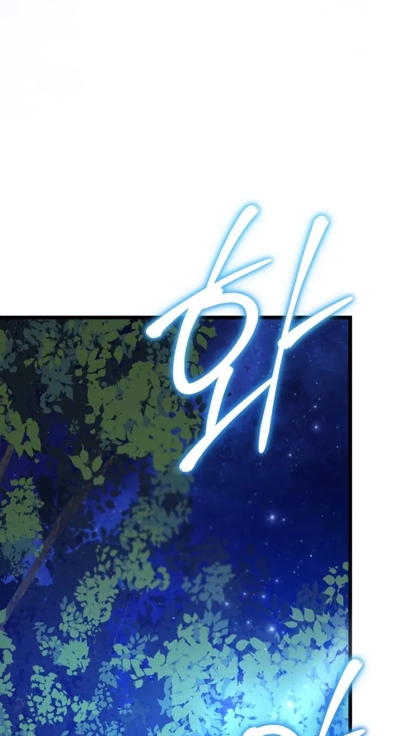  Chapter 13 page 96 - 