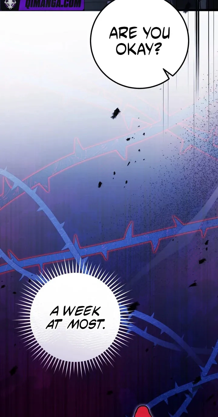  Chapter 2 page 5 - 