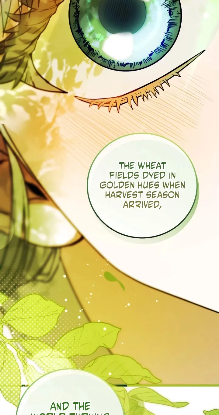  Chapter 2 page 52 - 