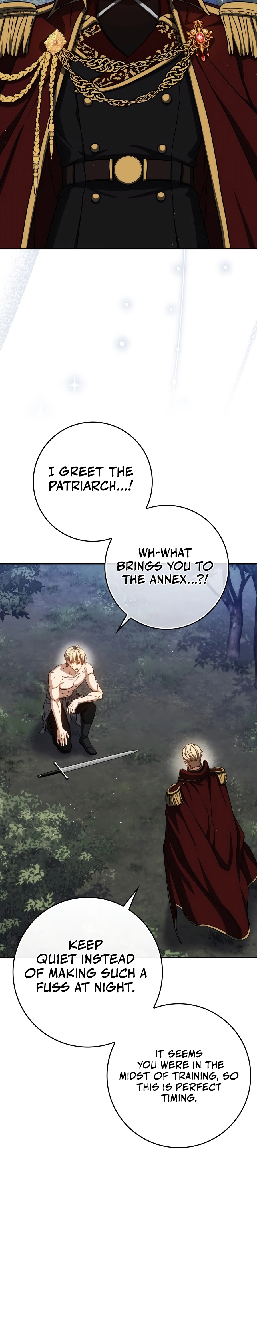 The Reincarnated Assassin is a Genius Swordsman Chapter 89 page 27 - 