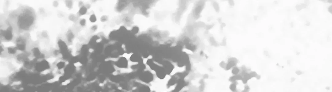 The Return of a Crazy Genius Composer Chapter 54 page 82 - 