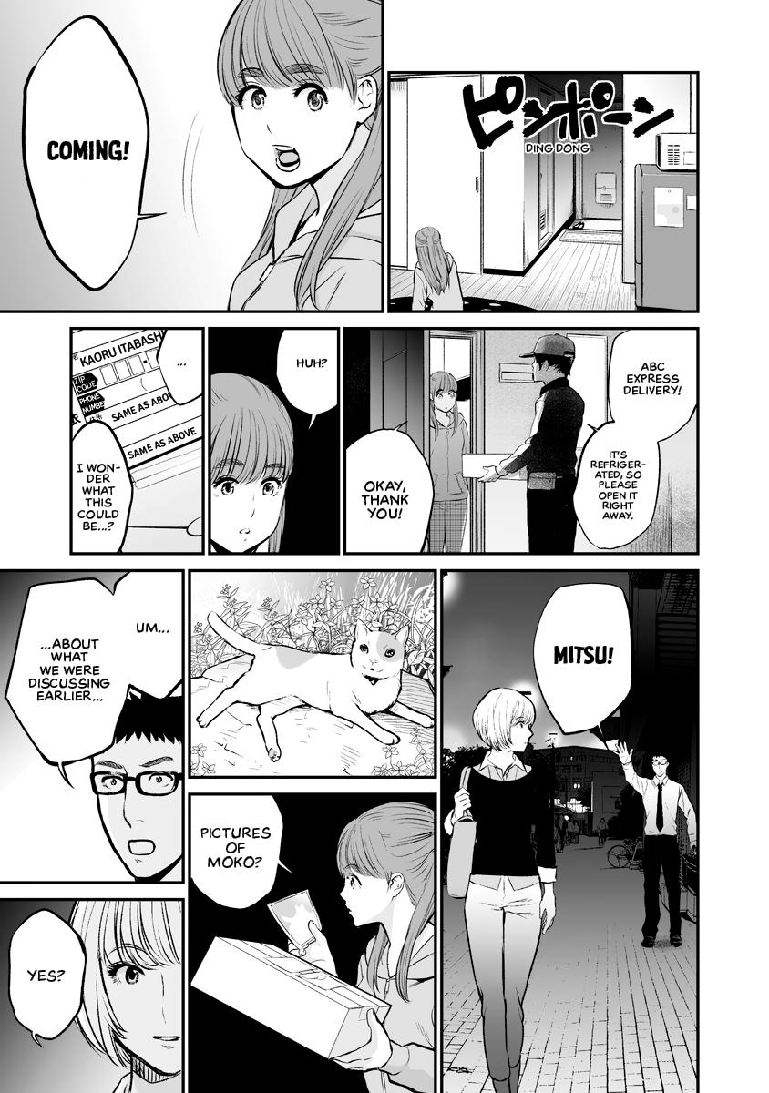 The Revenge Widow Chapter 3 page 17 - 