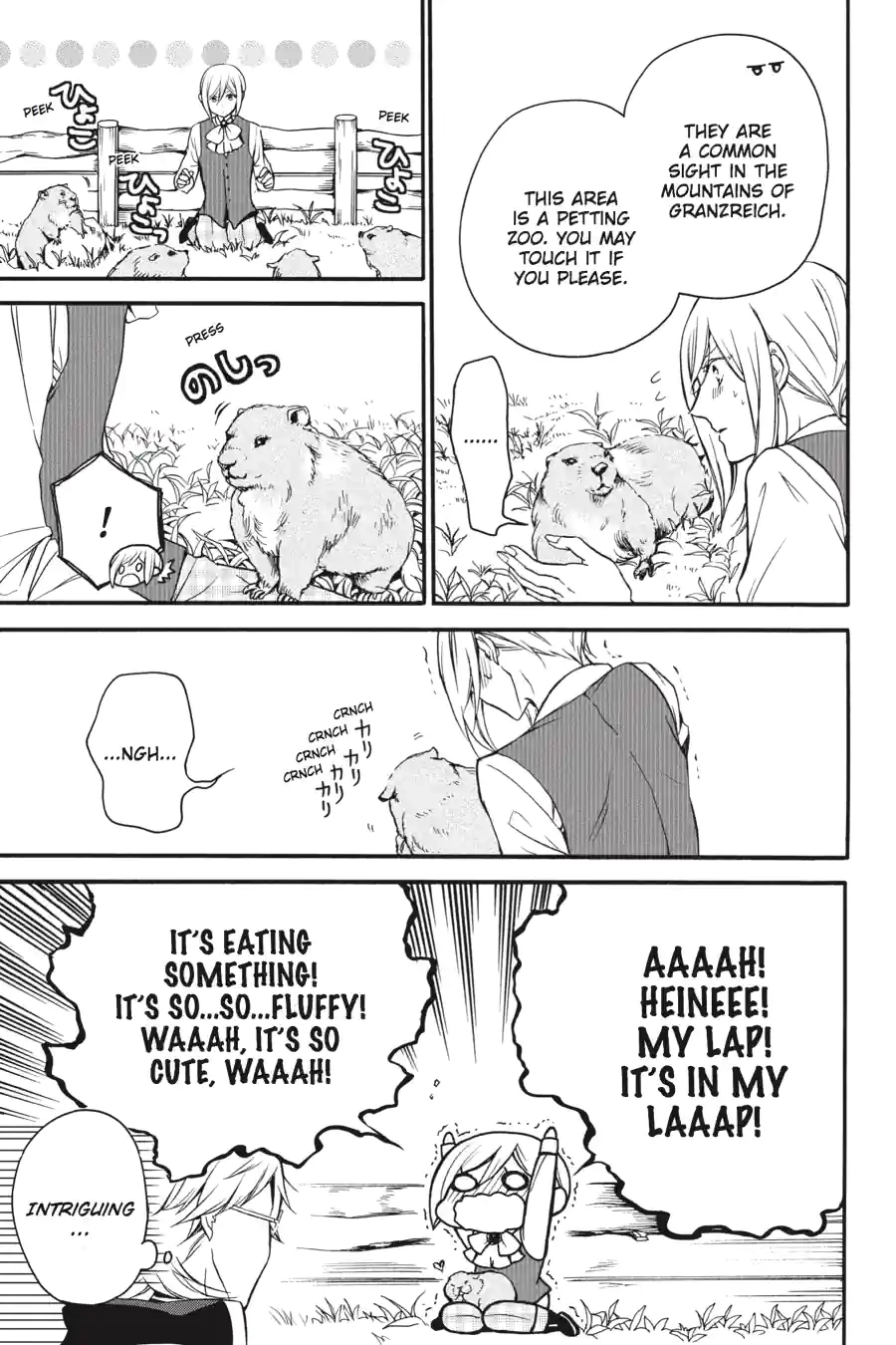 The Royal Tutor Chapter 26.99 page 3 - 