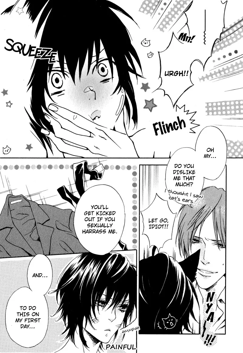 The Rumoured Prince Chapter 3 page 17 - 