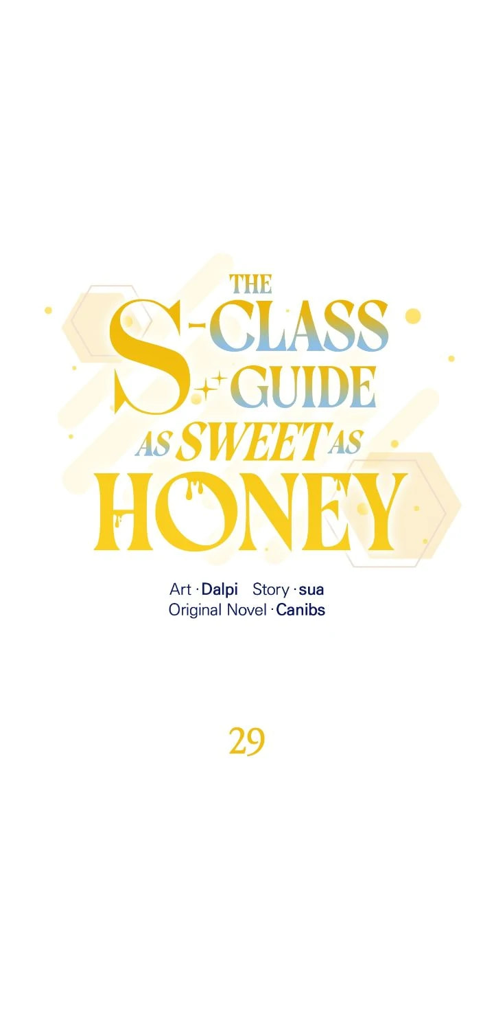 Honey-Coated S-Class Guide Chapter 29 page 1 - 