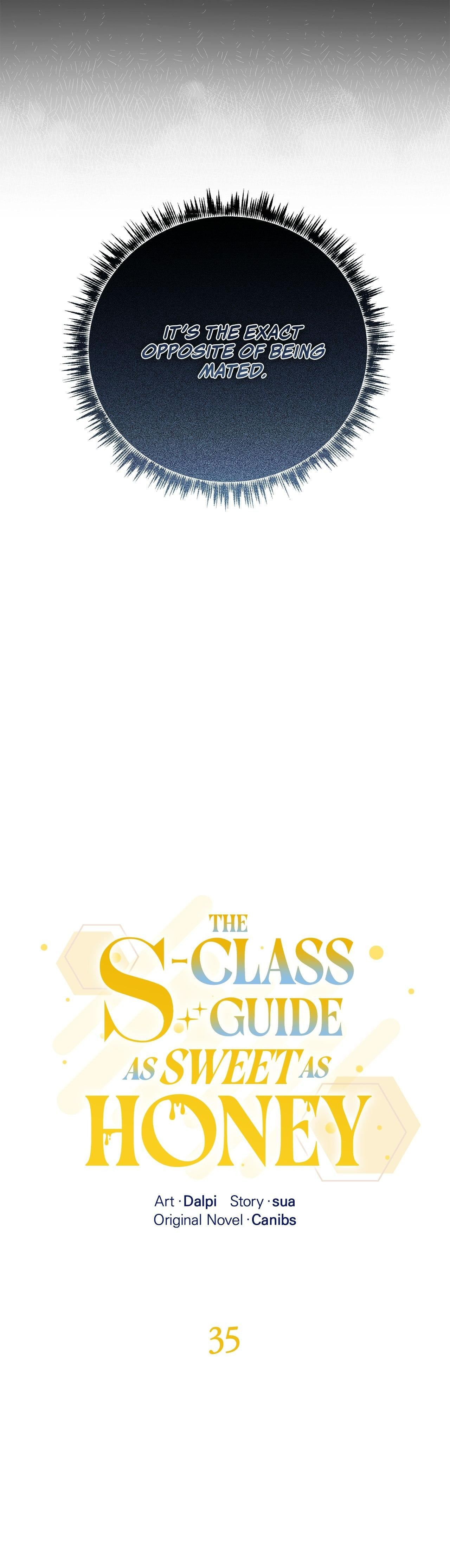 Honey-Coated S-Class Guide Chapter 35 page 10 - 