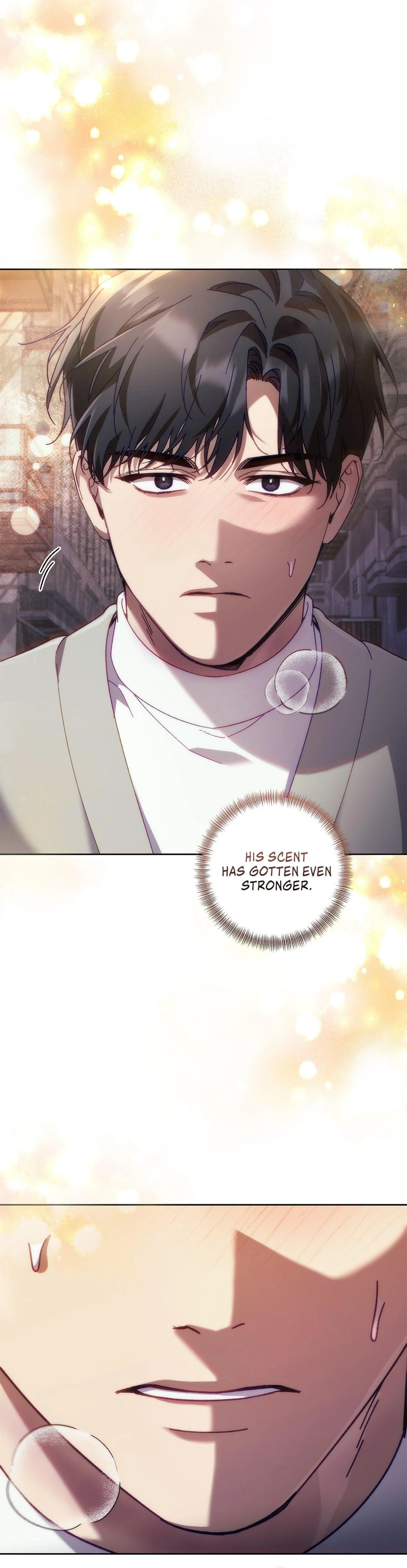 Honey-Coated S-Class Guide Chapter 45 page 19 - 