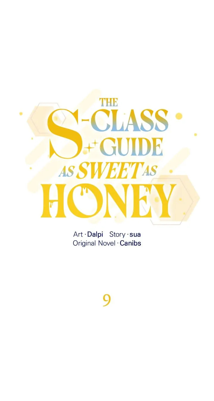 Honey-Coated S-Class Guide Chapter 9 page 1 - 