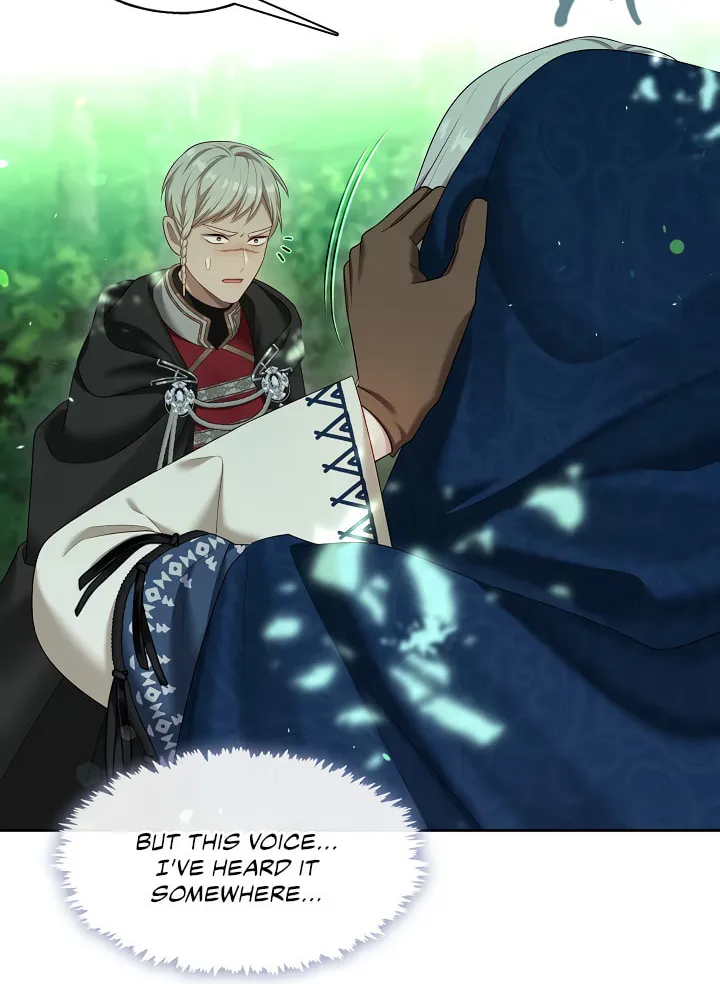 The S-Class Lady Chapter 32 page 41 - 