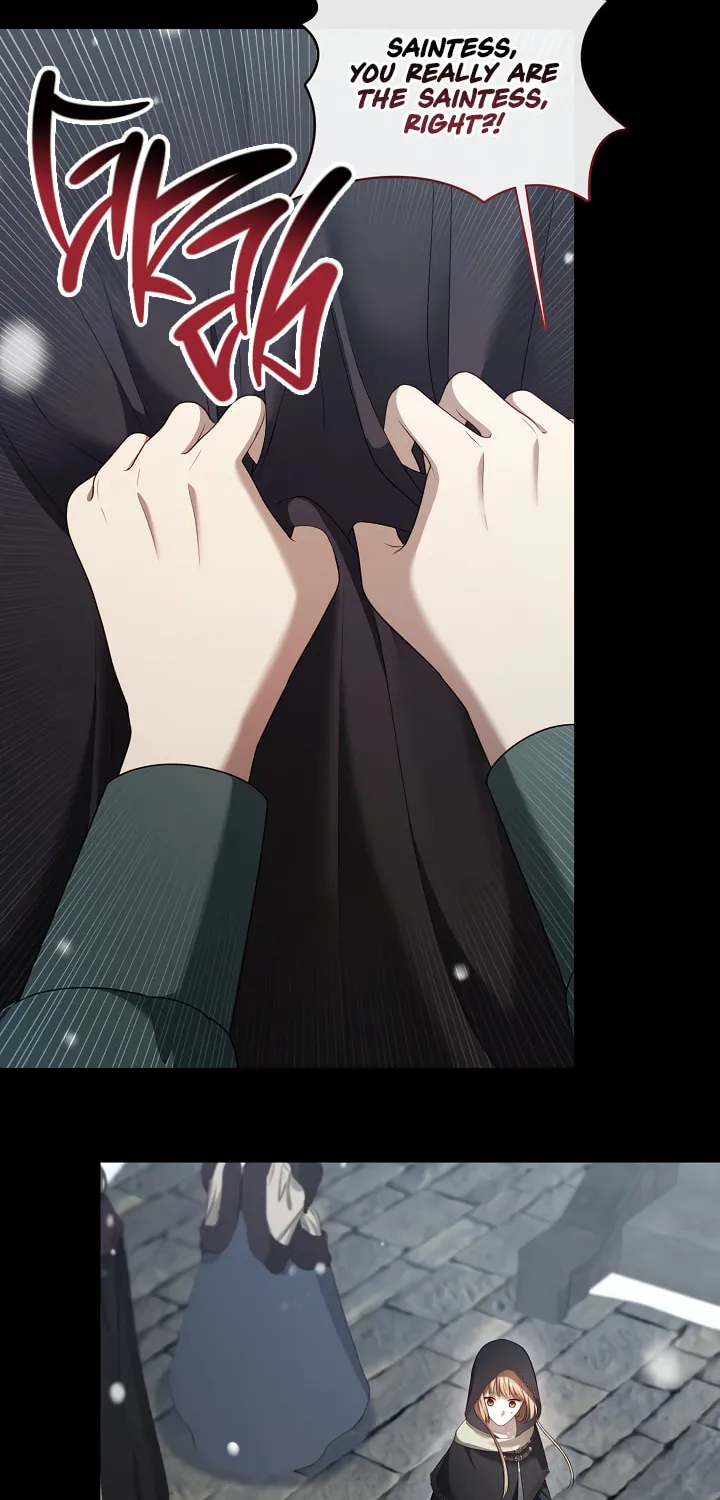The S-Class Lady Chapter 75 page 48 - 