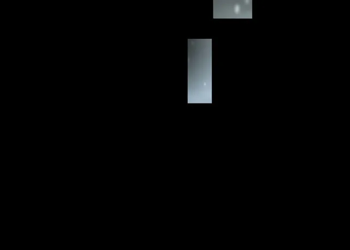 The S-Class Lady Chapter 75 page 57 - 