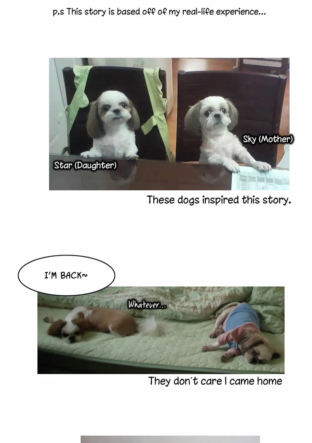 The School's Urban Legends Chapter 9 page 44 - 