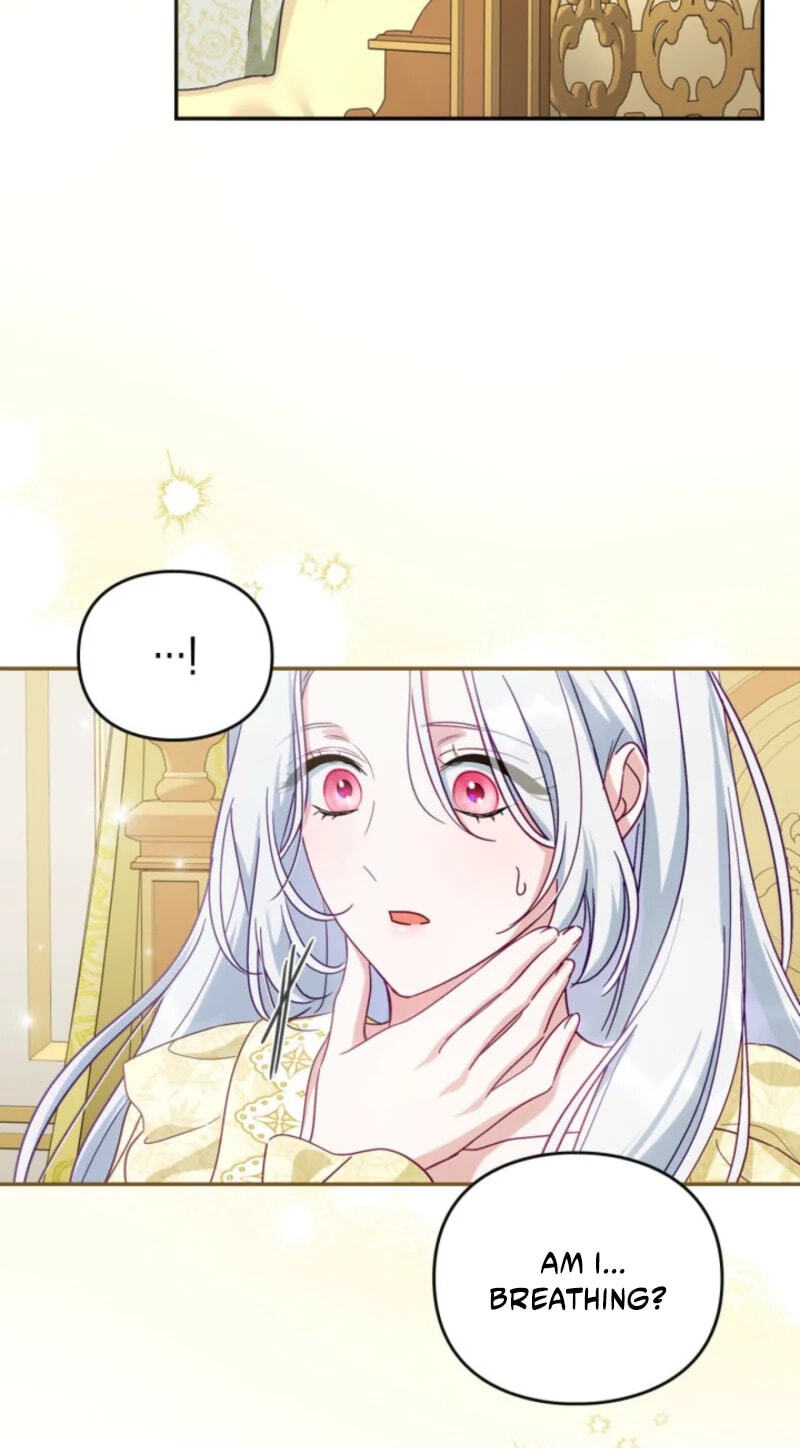 The Search for the Duchess's Husband Chapter 1 page 12 - 