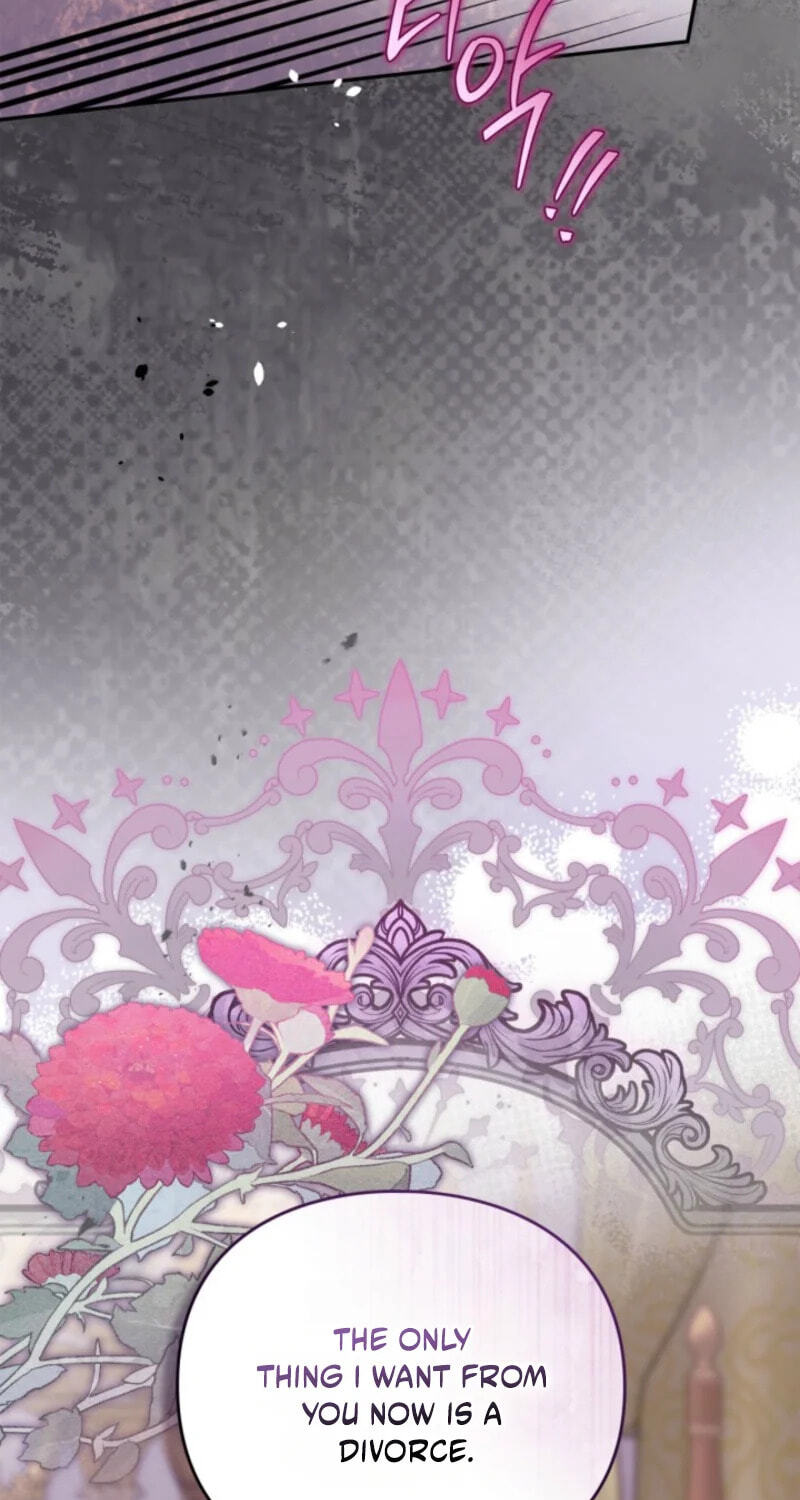 The Search for the Duchess's Husband Chapter 10 page 27 - 