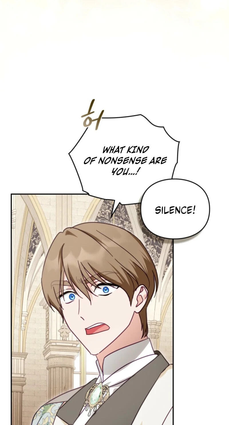 The Search for the Duchess's Husband Chapter 12 page 29 - 