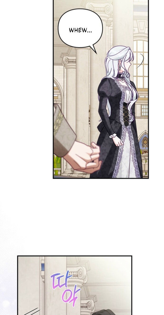The Search for the Duchess's Husband Chapter 13 page 29 - 