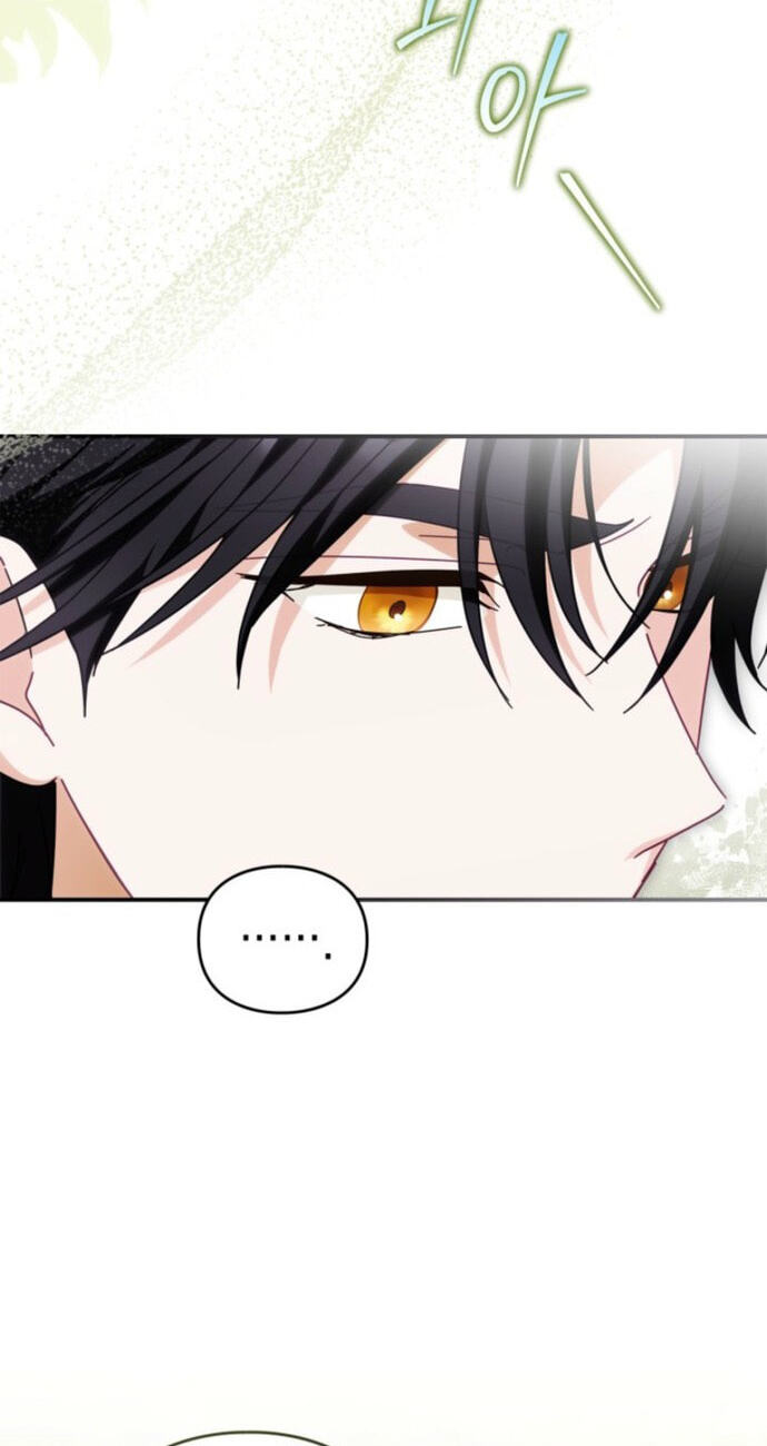 The Search for the Duchess's Husband Chapter 13 page 47 - 