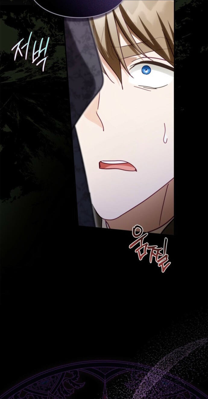 The Search for the Duchess's Husband Chapter 13 page 79 - 