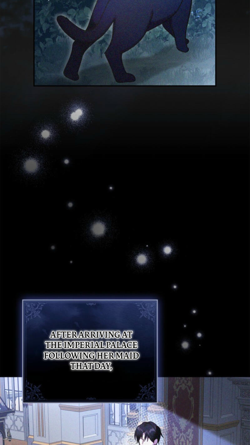 The Search for the Duchess's Husband Chapter 14 page 26 - 