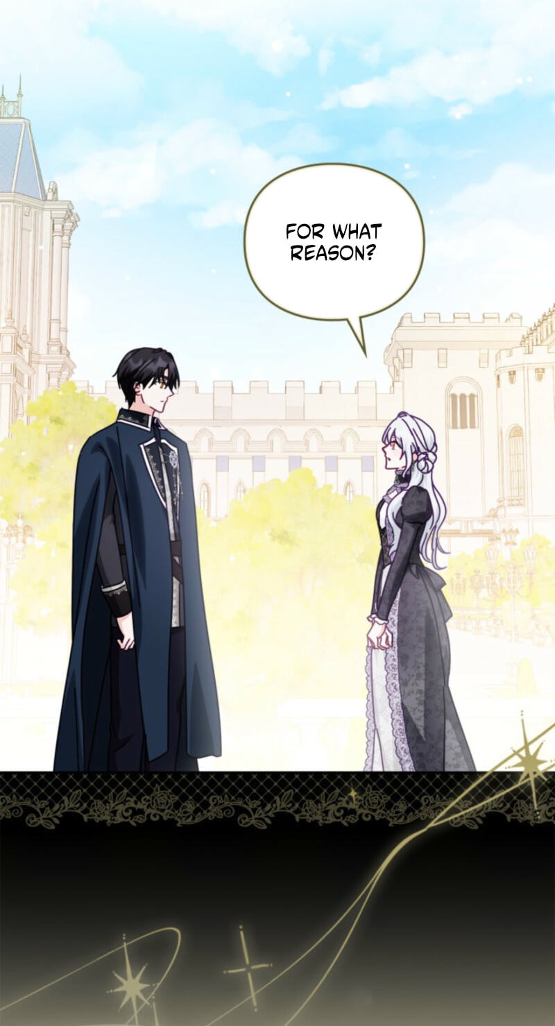 The Search for the Duchess's Husband Chapter 14 page 29 - 
